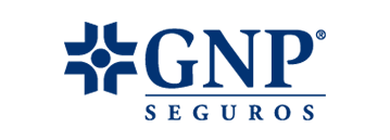 GNP